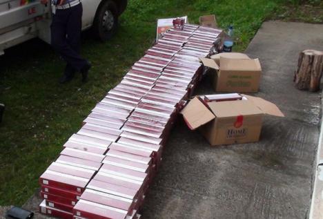 Aproape 9.000 de pachete de ţigări netimbrate, confiscate de poliţişti (FOTO / VIDEO)